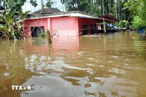 Cảnh ngập lụt tại bang Kerala, Ấn Độ ngày 9/8. (Ảnh: THX/TTXVN)