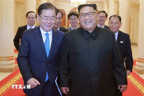 Nhà lãnh đạo Triều Tiên Kim Jong-un (phải) và Cố vấn an ninh hàng đầu của Tổng thống Hàn Quốc, ông Chung Eui-yong (trái) tại cuộc gặp ở Bình Nhưỡng ngày 5/9. (Ảnh: AFP/TTXVN)