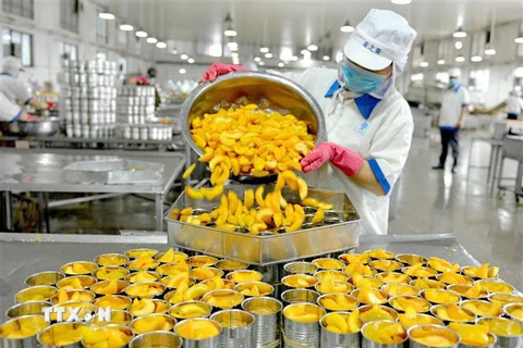 Công nhân đóng đồ hộp xuất khẩu tại nhà máy ở huyện Hạ Ấp, tỉnh Hà Nam, Trung Quốc. (Ảnh: AFP/TTXVN)