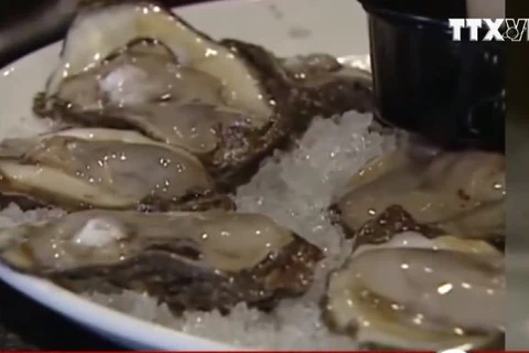 [Video] Tử vong do ăn hàu sống nhiễm vi khuẩn ăn thịt người