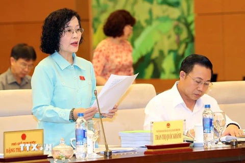 Đại biểu Quốc hội Trần Thị Quốc Khánh, Trưởng ban soạn thảo trình bày tờ trình Luật Hành chính công. (Ảnh: Trọng Đức/TTXVN)