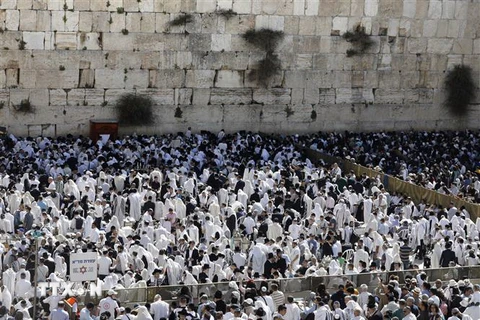Các tín đồ Do Thái giáo cầu nguyện tại Lễ Vượt qua ở Bức tường phía Tây thành cổ Jerusalem. (Nguồn: AFP/TTXVN)