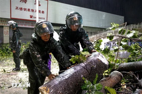 Cảnh sát dọn dẹp cây cối gẫy đổ sau bão Mangkhut ở Trung Sơn, tỉnh Quảng Đông, Trung Quốc ngày 16/9. (Ảnh: AFP/TTXVN)