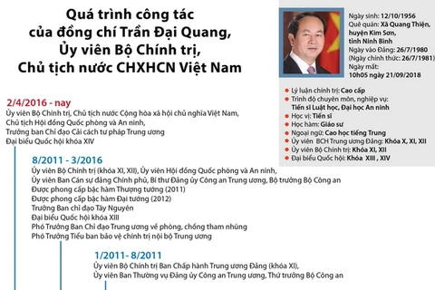 [Infographics] Quá trình công tác của Chủ tịch nước Trần Đại Quang