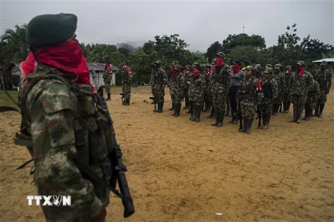 Các tay súng ELN tại khu vực San Juan, Choco, Colombia ngày 19/11/2017. (Ảnh: AFP/TTXVN)