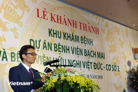 Phó Thủ tướng Vũ Đức Đam phát biểu tại buổi lễ. (Ảnh: Thùy Giang/Vietnam+)