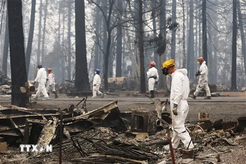 Lực lượng cứu hộ tham gia khắc phục hậu quả cháy rừng ở Paradise, bang California, Mỹ ngày 13/11/2018. (Ảnh: THX/TTXVN)