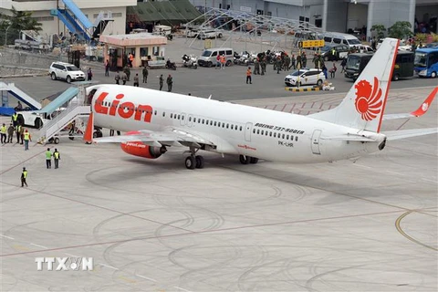 Máy bay của hãng hàng không Lion Air. (Ảnh: AFP/TTXVN)