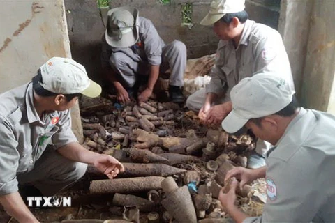 Đội rà phá bom mìn lưu động tỉnh Quảng Trị đang tiến hành xử lý số vật liệu nổ. (Ảnh: Thanh Thủy/TTXVN)
