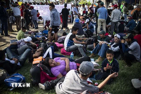 Người di cư Trung Mỹ đổ xô tới khu vực biên giới Mexico để tìm cách tới Mỹ ngày 19/11/2018. (Ảnh: AFP/TTXVN)