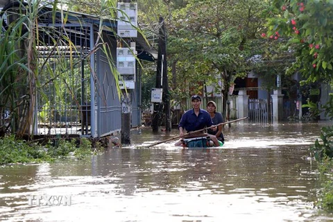 [Video] Quảng Nam: Hàng nghìn ngôi nhà vẫn chìm trong biển nước