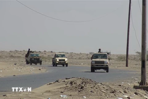 Các lực lượng ủng hộ Chính phủ Yemen làm nhiệm vụ tại khu vực Hodeidah ngày 13/11/2018. (Ảnh: THX/TTXVN)