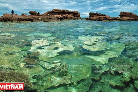 Khám phá vẻ đẹp hoang sơ của An Thới với dải san hô đẹp nhất Việt Nam