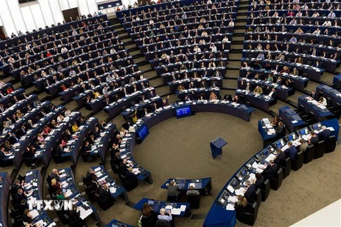 Một cuộc họp của Nghị viện châu Âu. (Ảnh: AFP/TTXVN)