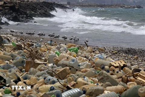 Rác thải nhựa trôi dạt vào bờ biển ở Ouzai, phía nam Beirut, Liban ngày 19/7/2018. (Ảnh: AFP/TTXVN)