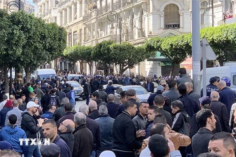 Hàng nghìn người tập hợp tại quảng trường Audin, biểu tình phản đối quyết định tranh cử nhiệm kỳ thứ 5 liên tiếp của Tổng thống Abdelaziz Bouteflika. (Ảnh: Tấn Đạt/TTXVN)