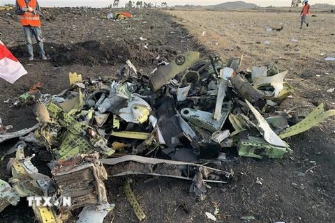 Hiện trường vụ rơi máy bay của hãng hàng không Ethiopian Airlines ở cách thủ đô Addis Ababa của Ethiopia 50km về phía đông, ngày 10/3/2019. (Ảnh: THX/TTXVN)