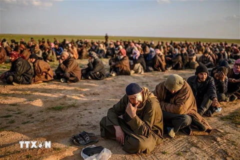 Các tay súng IS ra hàng tại Baghouz, tỉnh Deir al-Zour, Syria, ngày 22/2. (Ảnh: AFP/TTXVN)