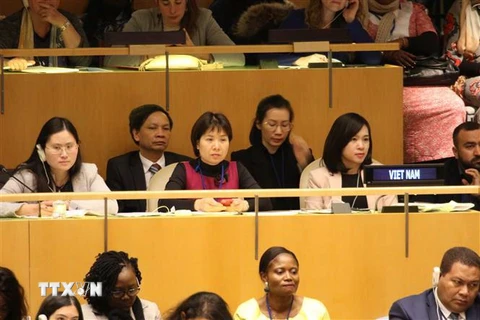Đoàn Việt Nam tham dự phiên khai mạc khóa họp thường kỳ thứ 63 của Ủy ban Địa vị Phụ nữ Liên hợp quốc (CSW). (Ảnh: Nguyễn Thanh/TTXVN)