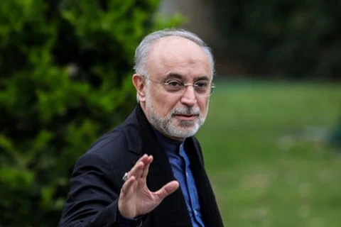 Ông Ali Akbar Salehi. (Nguồn: mehrnews.com)