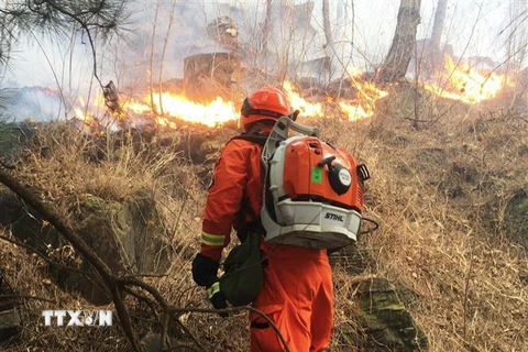 Lính cứu hỏa nỗ lực khống chế cháy rừng ở vùng núi thuộc huyện Miyun, ngoại ô Bắc Kinh, Trung Quốc ngày 30/3/2019. (Ảnh: AP/TTXVN)