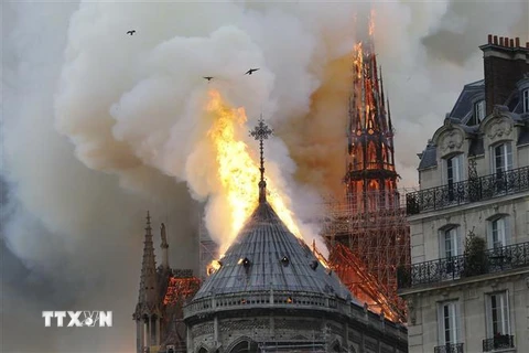 Hình ảnh mới về cảnh 'diệt' giặc lửa vụ cháy Nhà thờ Đức Bà Paris