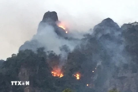 [Video] Cảnh báo nguy cơ cháy rừng cấp độ cực nguy hiểm tại nhiều tỉnh