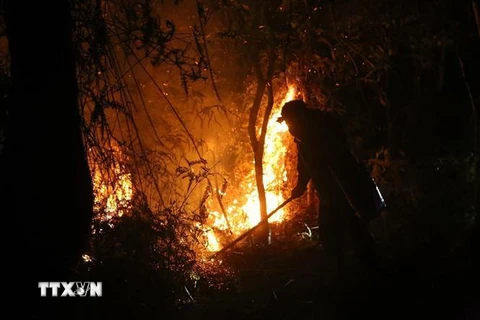 [Video] Hàng trăm người cùng dập lửa đám cháy rừng trong đêm