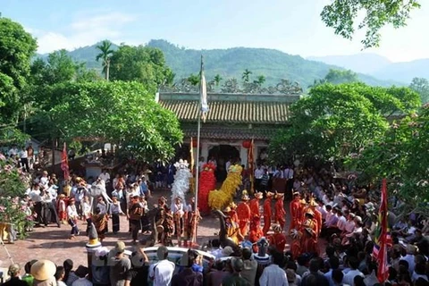 Quang cảnh Lễ hội Điện Trường Bà. (Ảnh: Nguyễn Đăng Lâm/Vietnam+)