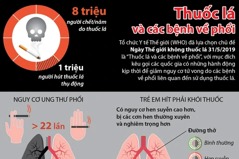 [Infographics] Thuốc lá và nguy cơ tử vong do các bệnh về phổi