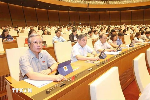 Đoàn đại biểu quốc hội tỉnh Yên Bái tham gia biểu quyết. (Ảnh: Doãn Tấn/TTXVN)