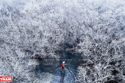 [Photo] Phong cảnh quê hương tuyệt đẹp nhìn từ trên cao