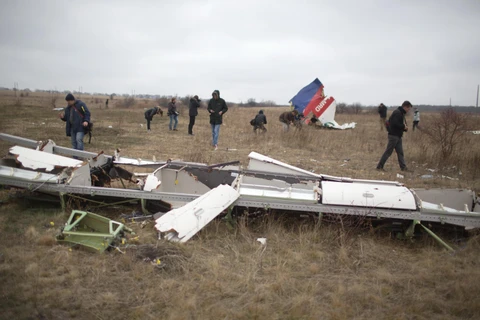 Hiện trường vụ rơi máy bay MH17 gần làng Hrabove, khu vực Donetsk, Ukraine, ngày 11/11/2014. (Ảnh: AFP/TTXVN)