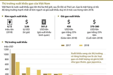 [Infographics] Thị trường xuất khẩu gạo của Việt Nam