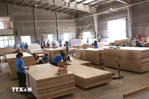 Sản xuất ván gỗ xuất khẩu từ nguyên liệu rừng trồng cây gỗ lớn tại nhà máy của Công ty Cổ phần Trường Phát (Tập đoàn Công nghiệp Cao su Việt Nam) trong khu công nghiệp Phước Hòa, huyện Phú Giáo (Bình Dương). (Ảnh: Vũ Sinh/TTXVN)