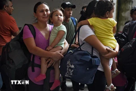 Người di cư bị bắt giữ tại Verecruz, Mexico, ngày 27/6/2019. (Ảnh: AFP/TTXVN)