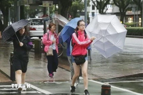 Người dân di chuyển dưới trời mưa do ảnh hưởng của bão Krosa tại Miyazaki, Tây Nam Nhật Bản, ngày 14/8/2019. (Ảnh: Kyodo/TTXVN)