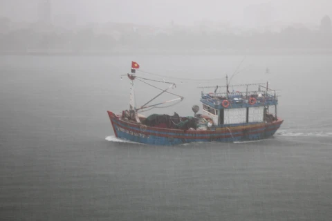 Tàu thuyền di chuyển vào neo đậu tại khu tránh trú bão Nhật Lệ. (Ảnh: Văn Tý/TTXVN)
