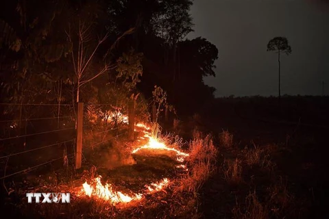 Một đám cháy rừng. (Nguồn: AFP/TTXVN)
