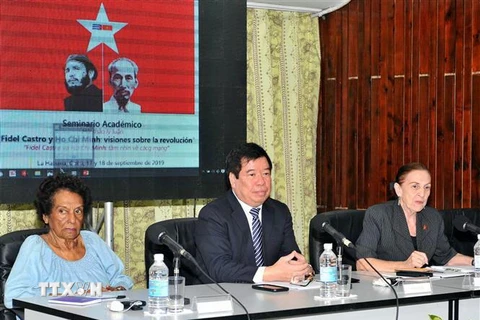 Ông Nguyễn Viết Thảo, Phó Giám đốc Học viện Chính trị Quốc gia Hồ Chí Minh tại hội thảo. (Ảnh: Lê Hà/TTXVN)