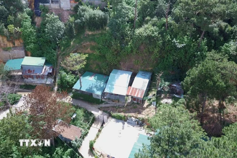 [Photo] Hàng loạt nhà không phép mọc giữa rừng thông tại Đà Lạt