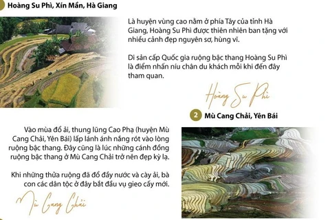 [Infographics] Mùa thu vàng tuyệt đẹp trên vùng rẻo cao Lào Cai