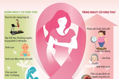 [Infographics] Những yếu tố ảnh hưởng tới nguy cơ ung thư vú