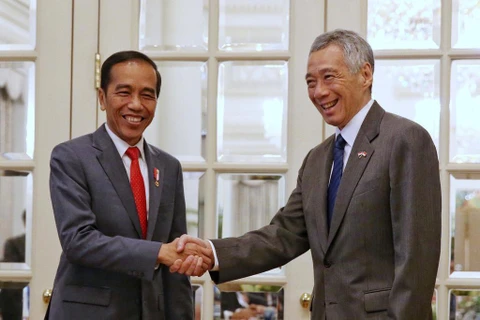 Thủ tướng Singapore Lý Hiển Long và Tổng thống Indonesia Joko Widodo trong cuộc gặp ngày 8/10. (Nguồn: todayonline.com)