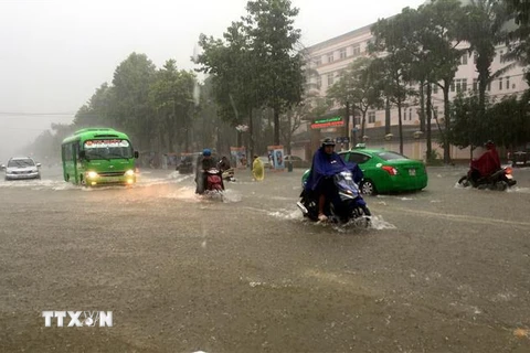 Nhiều tuyến đường thành phố Vinh bị ngập sâu khiến các phương tiện tham gia giao thông gặp nhiều khó khăn. (Ảnh: Tá Chuyên/TTXVN)