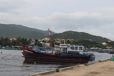 Tàu thuyền đánh bắt thuỷ sản của ngư dân neo đậu ở cảng để tránh trú. (Ảnh: Nguyễn Dũng/TTXVN)