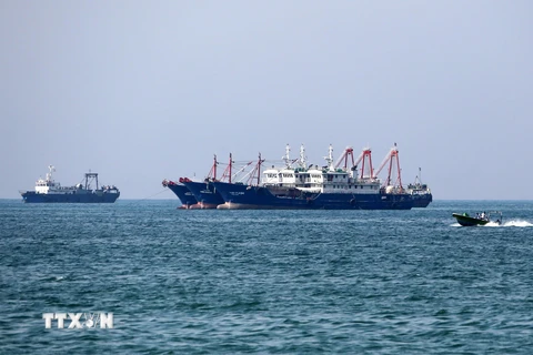 Tàu chở hàng tại khu vực vùng Vịnh, ngoài khơi thành phố cảng Bandar Abbas của Iran. (Ảnh: AFP/TTXVN)