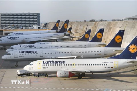 Máy bay của hãng hàng không Lufthansa tại sân bay ở Frankfurt am Main, Đức. (Ảnh: AFP/TTXVN)
