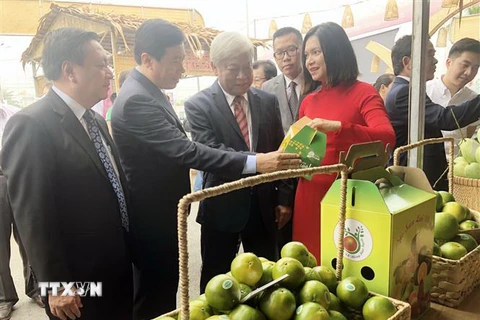 Tuần hàng đặc sản Đồng Tháp tại Thành phố Hồ Chí Minh năm 2019 giới thiệu đa dạng sản phẩm nông sản tươi sống, sản phẩm chế biến, hàng thủ công mỹ nghệ… (Ảnh: Mỹ Phương/TTXVN)