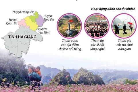 [Infographics] Lễ hội hoa tam giác mạch Hà Giang: Sắc màu hoa đá